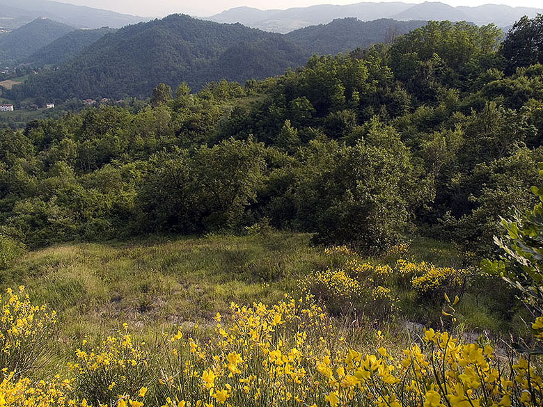 Oasi naturalistica del Carmine